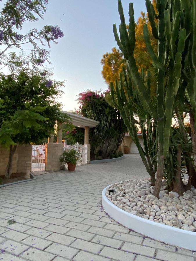 Nostrana Village Apartments Koskinou  Exterior foto